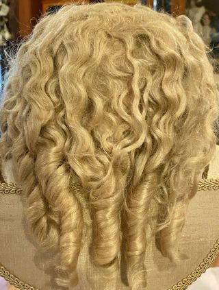 A56 Finest Antique 13 - 14 " Gorgeous Blond Mohair Wig For Antique Bisque Doll