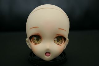 Volks Custom Ddh10,  Eyes Semi White Bjd Head Ball Jointed Doll Dollfie Dream1/3