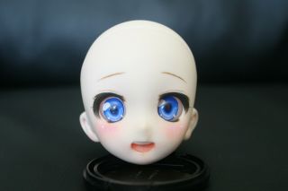 Volks Ddh - 10 Custom Semi - White Skin Eyes Bjd Head Ball Jointed Doll Dollfie Drea