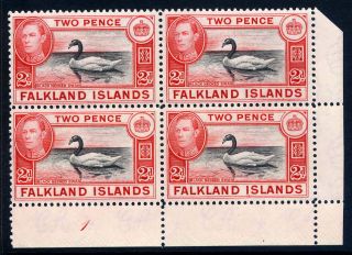 Falkland Is 1938 - 50 Kgvi Defin 2d Bird First Printing Corner Plate Block 4 Vfum
