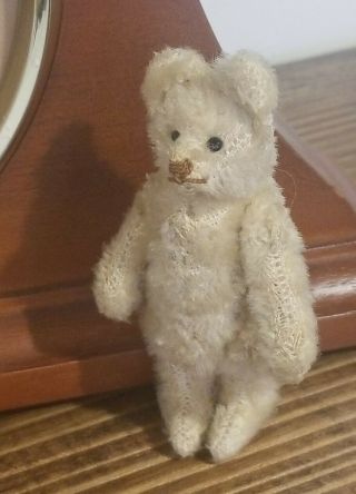 1936 Rare Vintage 3 1/2 " Steiff Miniature Mini Mohair Teddy Bear White