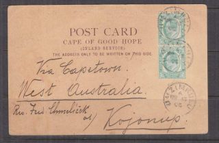 Cape Of Good Hope,  1906 Post Card,  1/2d.  (2),  Umzimkulu To Kojonup Western Australia