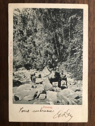Straits Sesttlements Old Postcard Penang To France 1904