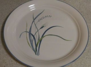 Corelle Coastal Breeze Dinner Plates,  Set Of 4  L0