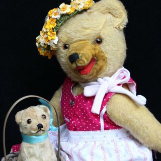 Antique Teddy Bear Girl In Dirndl Traditional Dress W Steiff Dog Molly In Basket