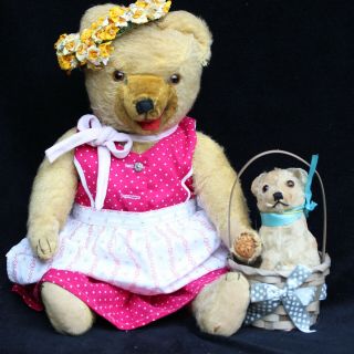 Antique Teddy Bear Girl in Dirndl Traditional Dress w STEIFF Dog Molly in Basket 2