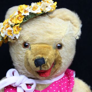 Antique Teddy Bear Girl in Dirndl Traditional Dress w STEIFF Dog Molly in Basket 3