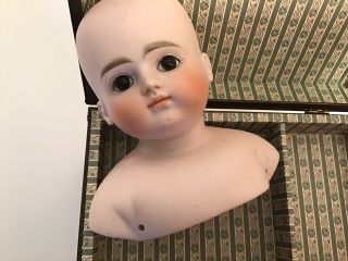 Antique Closed Mouth Kestner Doll Head Only