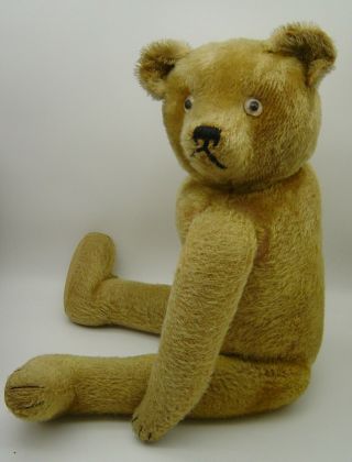 Huge Antique Strawfilled Steiff ? Mohair Teddy Bear 58 Cm