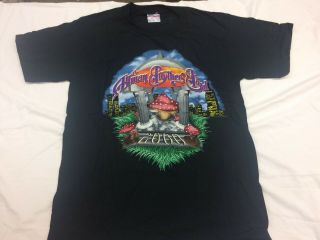 Vintage Allman Brothers Band Campaign 2000 Concert Shirt Adult M Shrooms