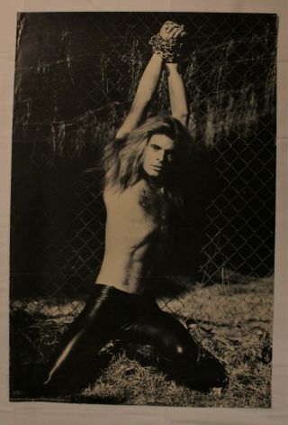 David Lee Roth - Vintage Poster - 1980 - Vg To Ex