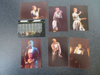David Bowie - Photos - 1978 - London Earls Court - Heroes - Pro Pics X 7