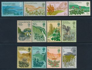 1972 Tristan Da Cunha Flowers Definitives Set Of 12 Fine Mnh