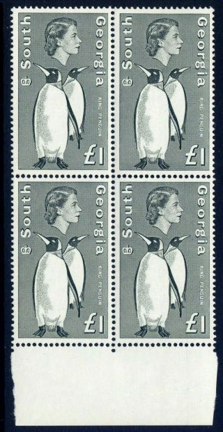 South Georgia 1963 - 69 £1 Grey - Black Bird Very Fine Unmounted Block Of Four