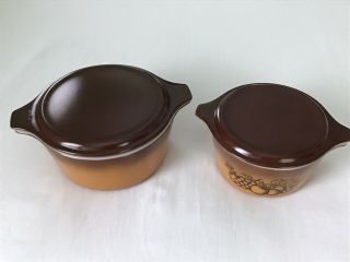 Vintage Pyrex Brown Old Orchard 473 & 474 - B Casserole Bowls With Lids Set Of 2