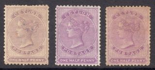 Ceylon 1863 - 66 Qv ½d Lilac & Mauve Wmk Crown Cc P12½ Un. ,  Sg 48b,  C Cat £200