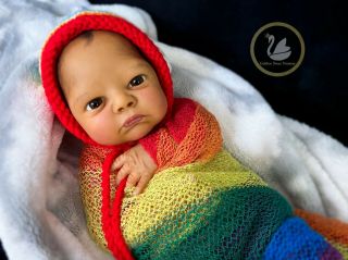 Reborn Ethnic/biracial Baby Boy Anabel By Denise Pratt