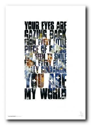 THE STONE ROSES ❤ Sally Cinnamon ❤ poster limited edition print in 5 sizes 15 3