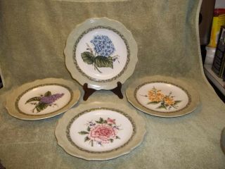 Princess House Exclusive Vintage Garden 9” Floral Luncheon Plates Set Of 4