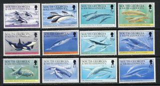 South Georgia,  Falklands,  Whale And Dolphin Mnh Vf Set Sea Mammals 63.  50