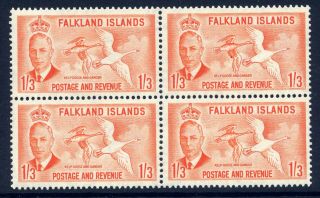 Falkland Islands 1952 Kgvi Definitive 1/3d Bird Very Fine Unmounted Block 4