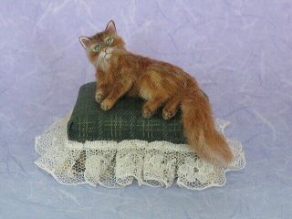 Ooak Dollhouse 1:12 Miniature Cat Somali Cat Handmade Igma Artisan Jparrott