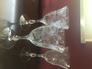 Cambridge Etched Wildflower Waters Crystal (3) 3121 Stem 8 " Tall Cond.