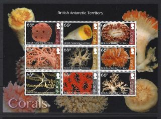 British Antarctic Territory 2017 Corals Miniature Sheet Unmounted.  Mnh