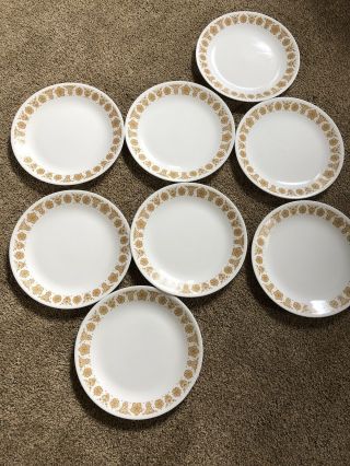 Vintage Corelle Butterfly Gold Dinner Plate 10 1/4 " Set Of 8 Dishes Corning Usa