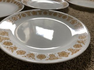 Vintage Corelle Butterfly Gold Dinner Plate 10 1/4 