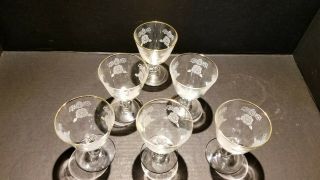 Set Of 6 Vintage Cordial/party Stemware Clear Glass With White Roses Gold Rim