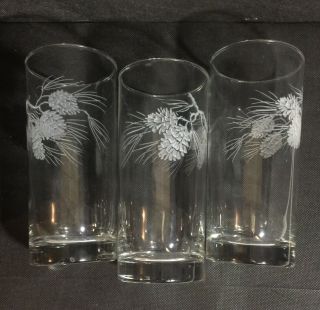 Vintage Etched Glassware Set Of Three High Ball Tumblers Pinecones