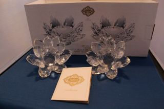 Shannon Crystal Set Of Two Crystal Lotus Light Candle Hold With Tea Light Candle