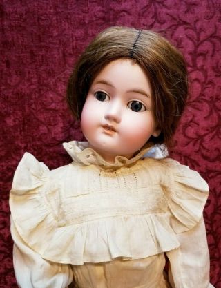 Antique German Bisque Head George Borgfeldt Princess 2 Doll 24in Antique Dress 3