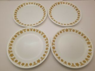 Vtg Corelle Butterfly Gold Luncheon Salad Plate 8.  5 " Set Of 4 Pyrex Corning