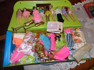 Large Cloth Of Topper Dawn Dolls,  Case,  Clothes,  Accessories 2