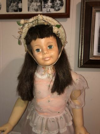 Vintage Patti Playpal Doll by Ideal G - 35 - Lovely 36 Inch Tall Brunette 2