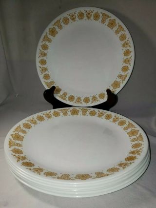 Set Of 7 Corelle Butterfly Gold 10 1/4 " Dinner Plates,  1970 