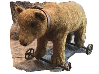Adorable Antique,  Mohair Teddy Bear On Iron Wheels,  Glass Eyes & Collar