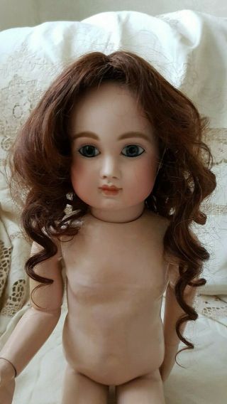 Larger Antique Human Hair Doll Wig For 13 - 14 - 15  Head Circumference