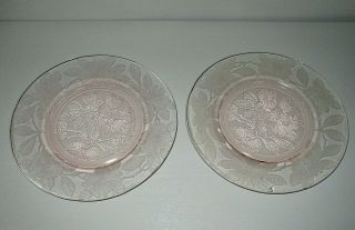 Mcbeth Evans Pink Depression Glass Dogwood Pattern 8 " Luncheon Plates