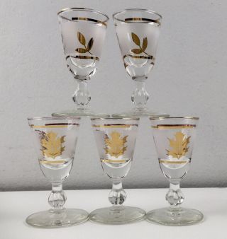Set Of 5 Libbey Gold Leaf Frosted Vintage Cordial Liquer Glasses Mcm Mid Century