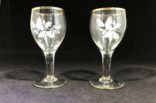 2 Elegant Etched Crystal Glass Stemmed Cordial/sherry/liqueur Glasses Gold Trim