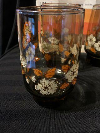 Vintage Libbey Butterfly Glasses Mid Century Tumbler Amber Set 4 With Package 2