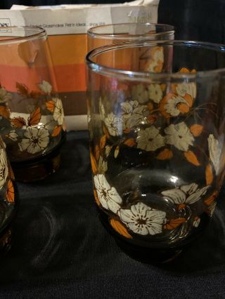 Vintage Libbey Butterfly Glasses Mid Century Tumbler Amber Set 4 With Package 3