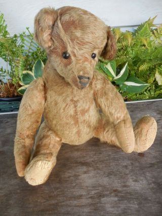 Vintage 16 " Mohair Jointed Teddy Bear W Shoe Button Eyes To & Restore
