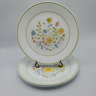 Set Of 4 Corelle Spring Meadow 10 1/4 " Dinner Plates