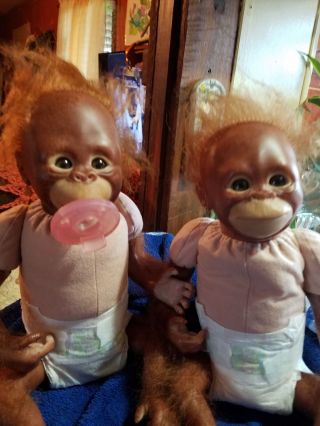 Binki And Bindi Baby Orangutans By Denise Pratt