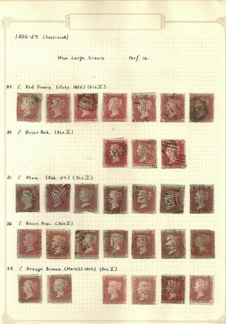 1854 - 7 Great Britain,  1d Reds On Album Pages As Received.