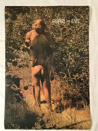 Adam And Eve 1971 Poster Nude Girl Bare Butt Synergisms Matte